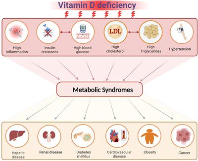 Frontiers Editorial The Role Of Vitamin D In Reducing The Risk Of